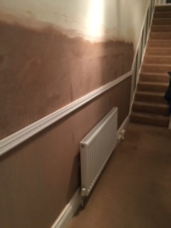 damp proofing 3