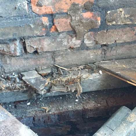 dry rot flooring