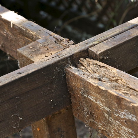 North East Damp Speciliasts, dry rot joints in the North East