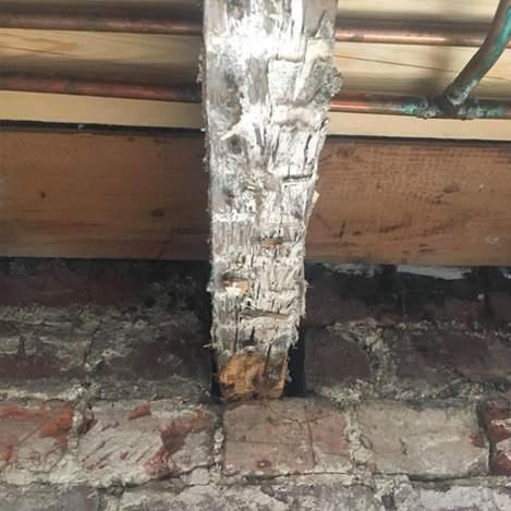 dry rot wood