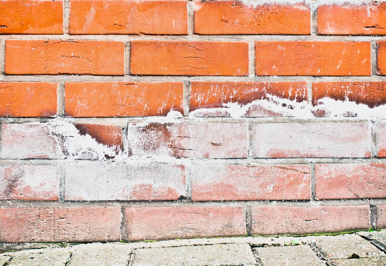 penetrating damp services north east